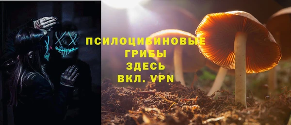 МДПВ Бугульма