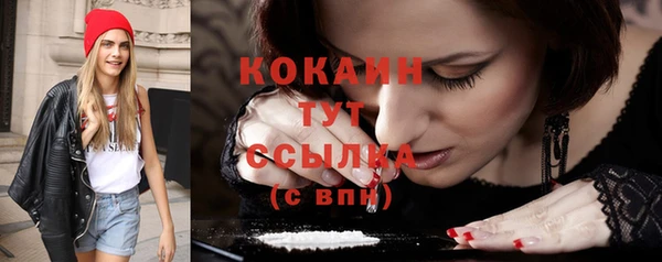 прущие грибы Верея