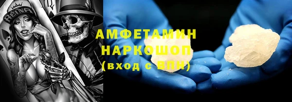 прущие грибы Верея