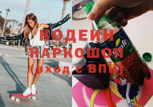 прущие грибы Верея