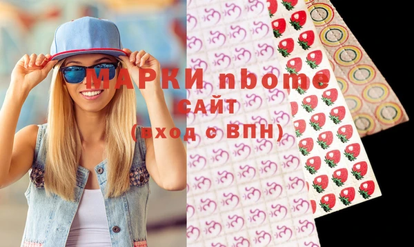 прущие грибы Верея