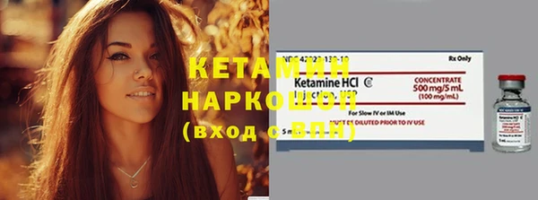прущие грибы Верея