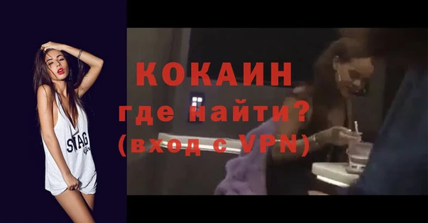 прущие грибы Верея