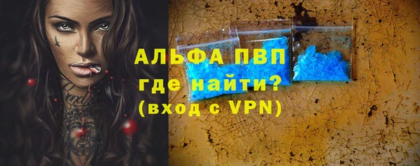 прущие грибы Верея