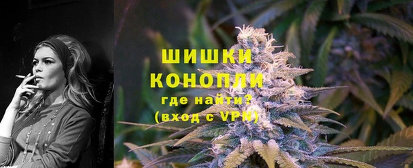 прущие грибы Верея
