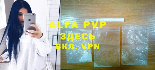 прущие грибы Верея